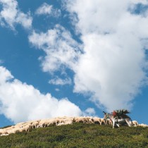 Carlo Meazza. Il cammino dei pastori. Storie di vita e del paesaggio lombardo